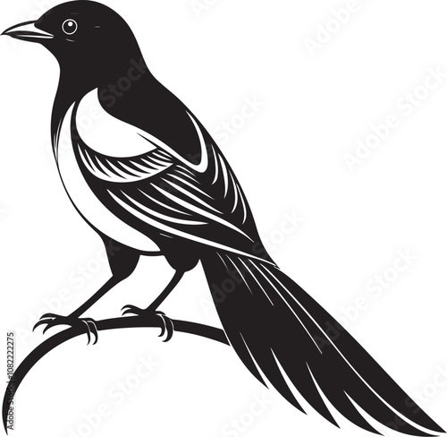 cuban trogon bird vector illustration