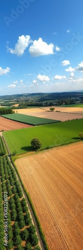 An aerial view of a patchwork of green and brown fields in a rural area, taken on a sunny day with a blue sky and fluffy white clouds