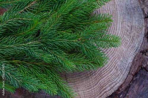 Christmas tree branch on a wooden background. New Year theme. Beautiful wood texture with cracks.