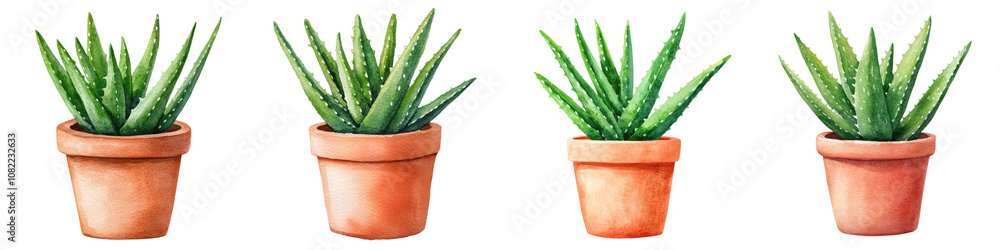 Aloe Vera Succulent Plants in Clay Pots Watercolor Aloe Vera Succulent Plants in Clay Pots Watercolor