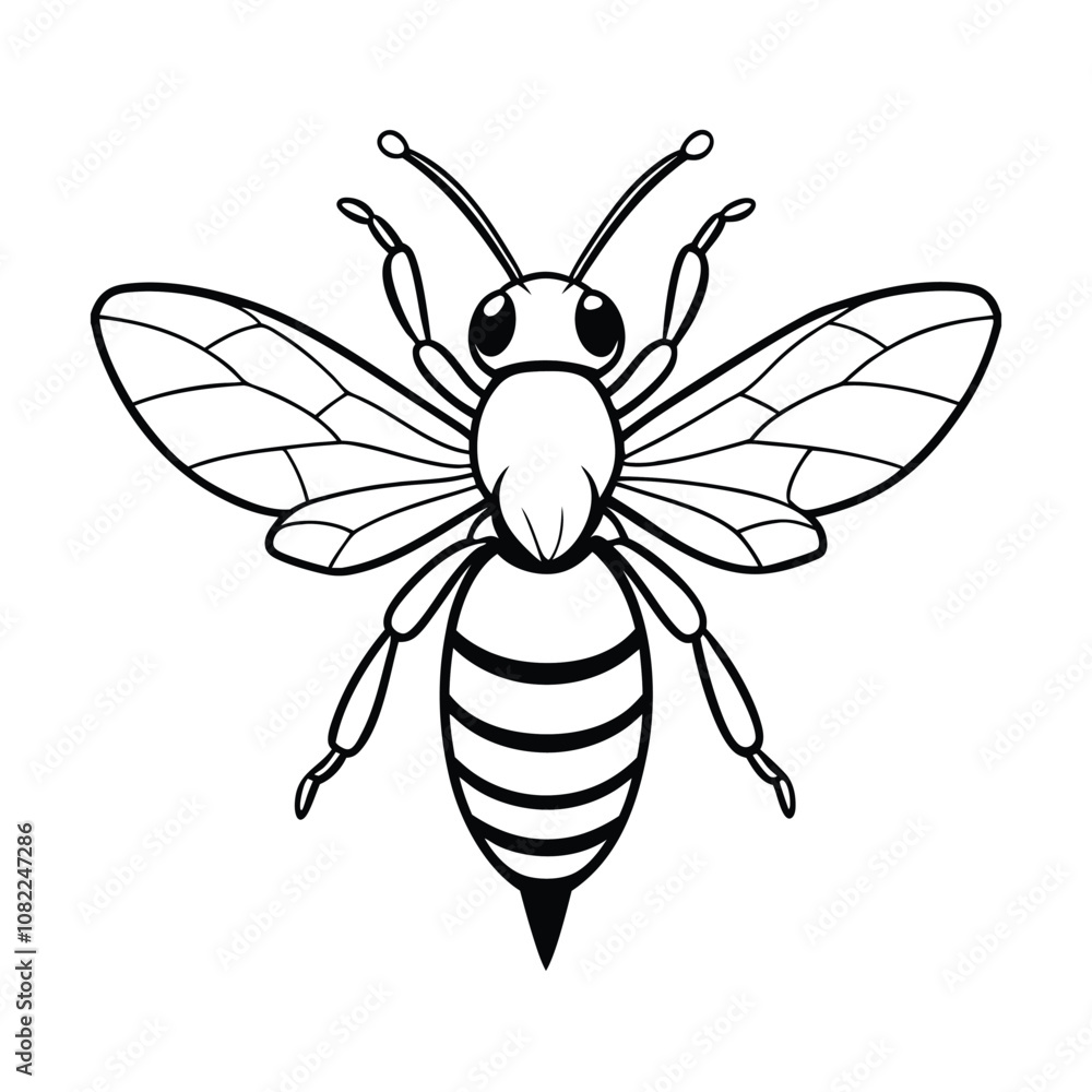 vector of bee design, labeled line art silhouette illustration. vector of bee design, labeled line art silhouette illustration.