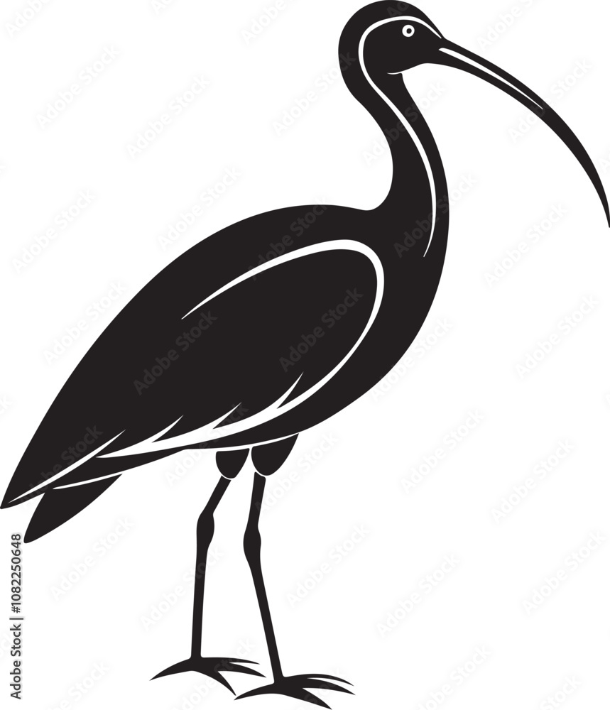 Obraz premium giant ibis bird vector illustration