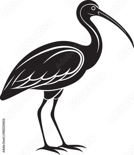 giant ibis bird vector illustration photo