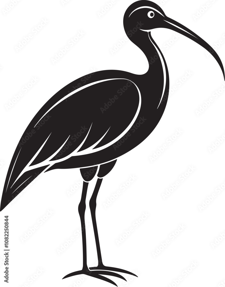 Obraz premium giant ibis bird vector illustration