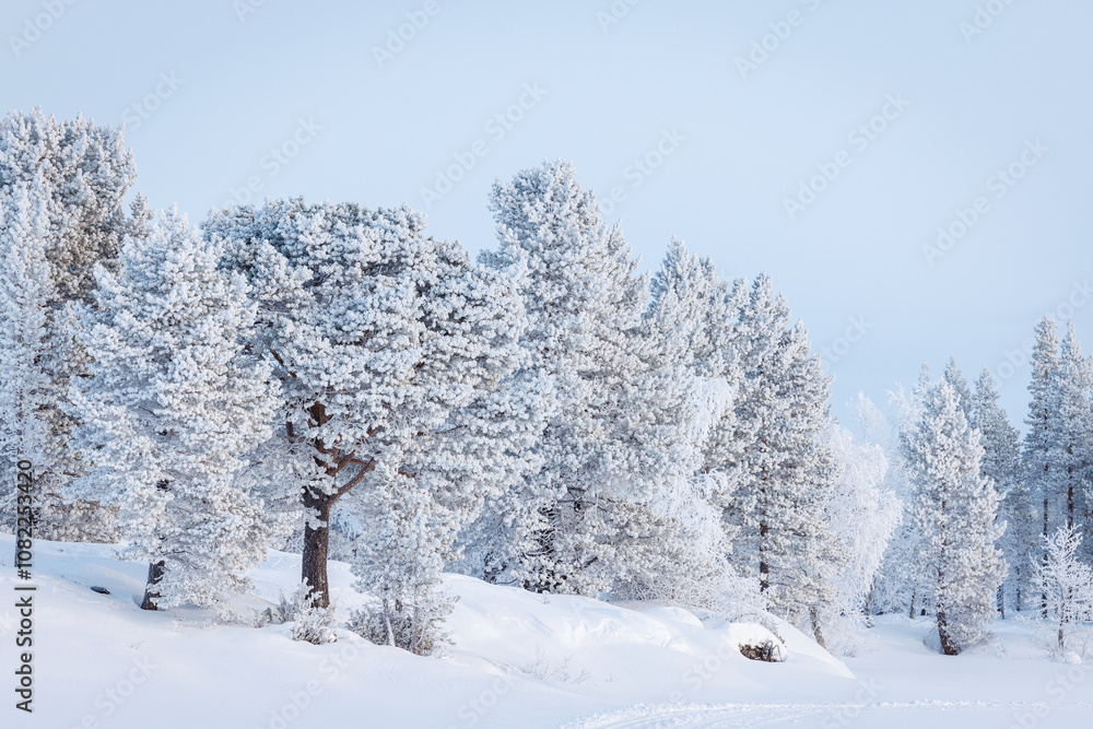 Winter landscape with snowcovered trees, Lapland, Finland Winter landscape with snowcovered trees, Lapland, Finland