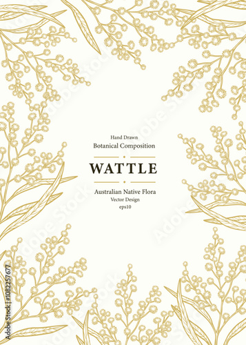 Hand drawn wattle branch frame. Australian native flower