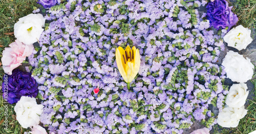 Dettaglio crocus Infiorata di Cerveteri evento tradizionale di festa e devozione, strade del borgo con tappeti di fiori colorati, raffiguranti immagini sacre e simboliche photo