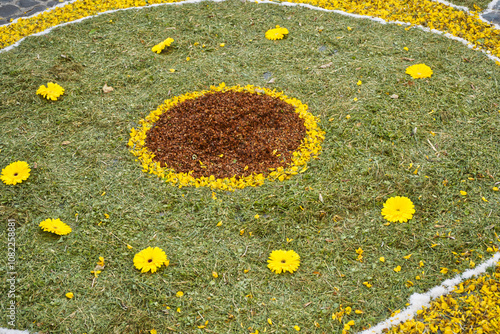 Fiori gialli Infiorata di Cerveteri evento tradizionale di festa e devozione, strade del borgo con tappeti di fiori colorati, raffiguranti immagini sacre e simboliche