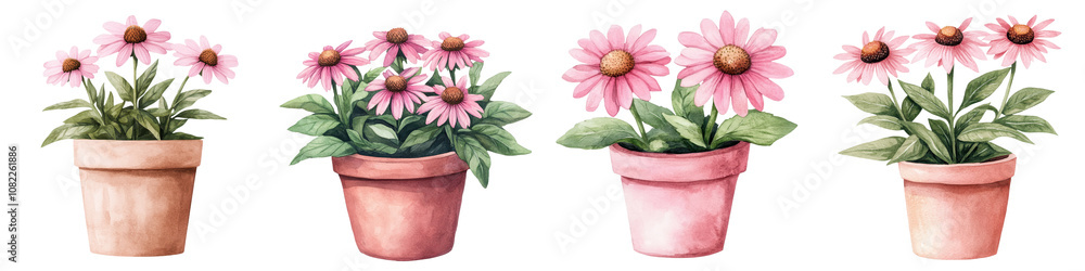 Fototapeta premium Vibrant Echinacea Flowers in Rustic Terracotta Pot with Watercolor Backdrop