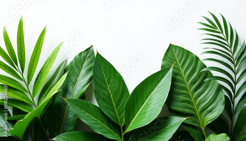 Wallpaper Mural Vibrant Tropical Leaves in Nature Torontodigital.ca