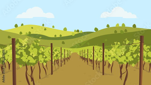 Vineyard in Rolling Hills