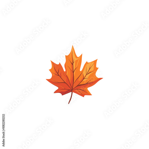 Autumn Maple Leaf Illustration