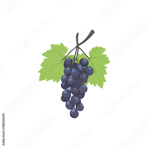 Bunch of Grapes Illustration