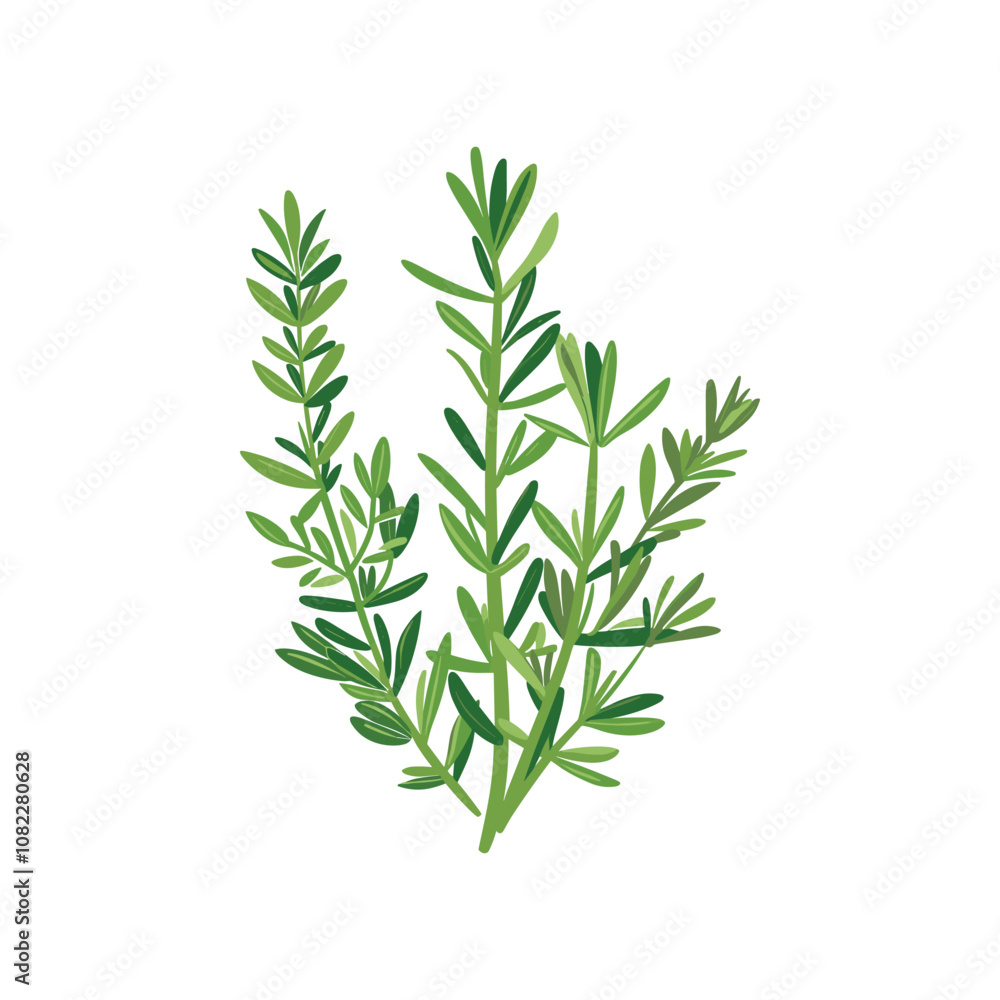Naklejka premium Herbs Plant Vector Design