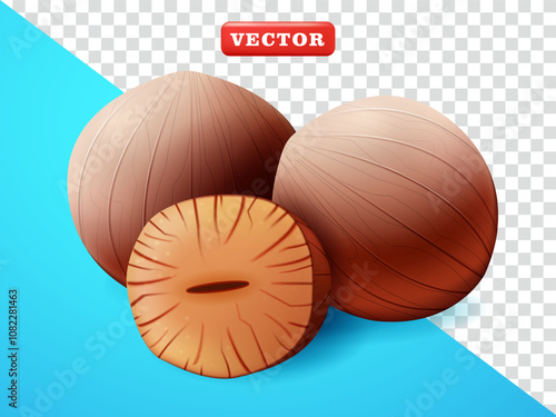 Nutmeg, 3d vector. Suitable for decoration, elements, cooking spices and advertising