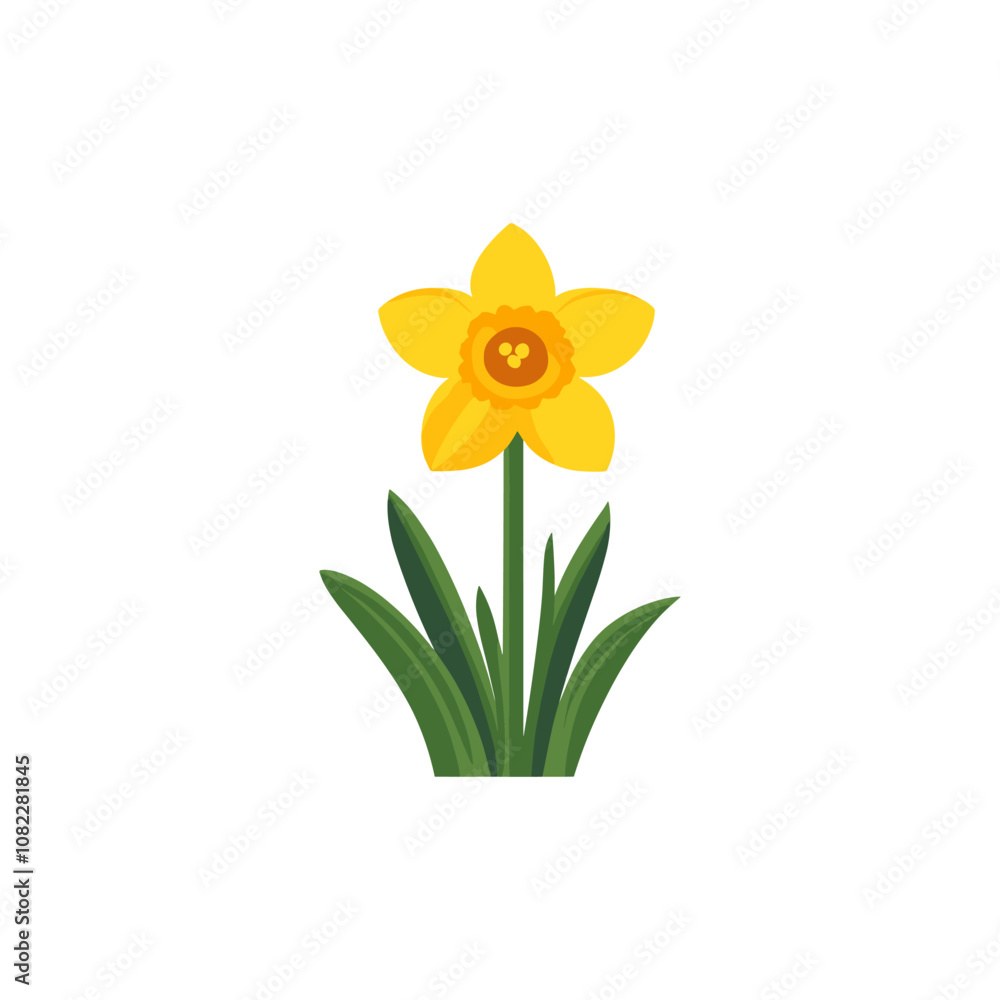 custom made wallpaper toronto digitalDaffodil Flower Vector Illustration for Spring