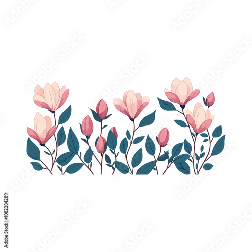 Magnolia flowers in bloom - soft pink botanical floral illustration