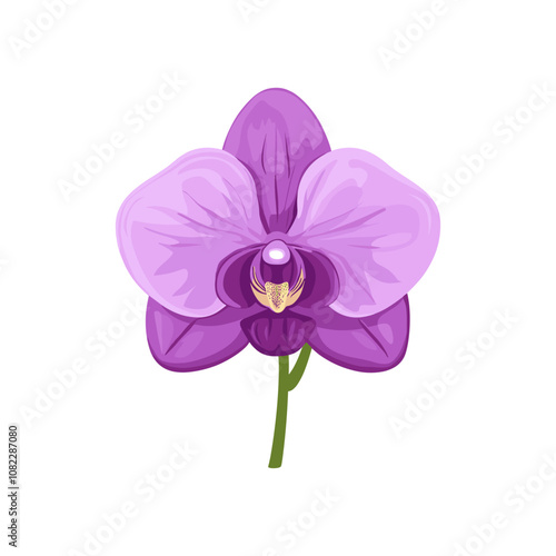 Purple Orchid Flower Detailed Vector Illustration