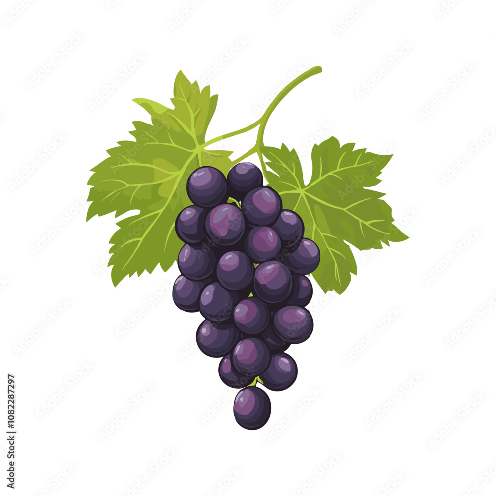 Fototapeta premium Grape Bunch Vector with Green Leaves - Fresh Fruit Illustration