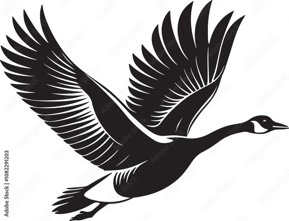 Obraz premium Whooper Swan vector illustration