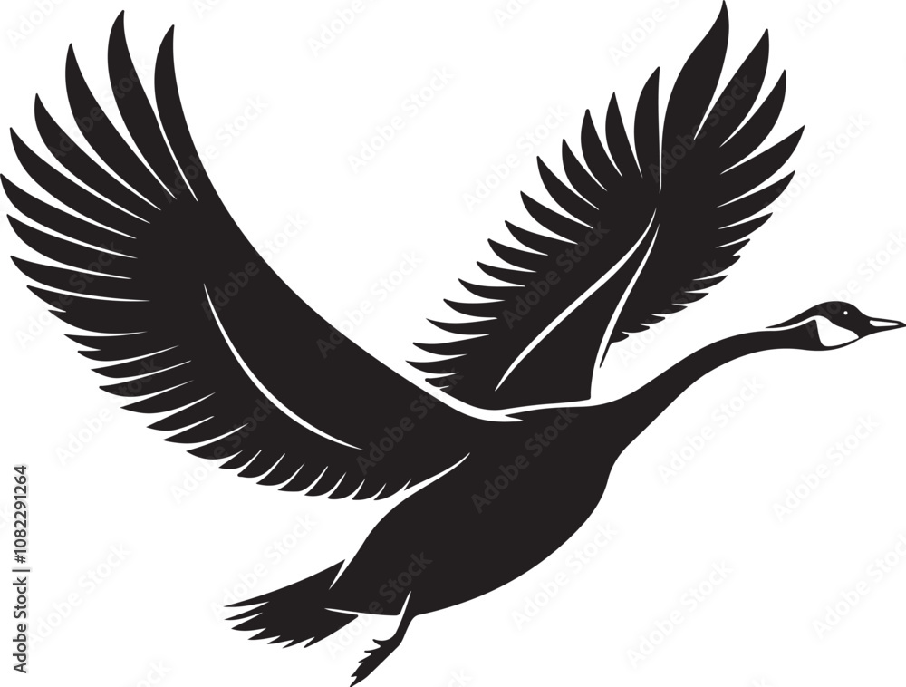 Obraz premium Whooper Swan vector illustration