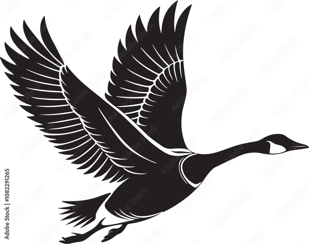 Obraz premium Whooper Swan vector illustration