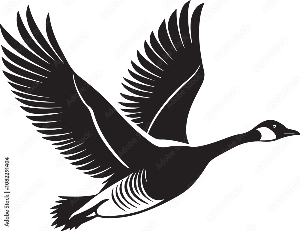 Fototapeta premium Whooper Swan vector illustration