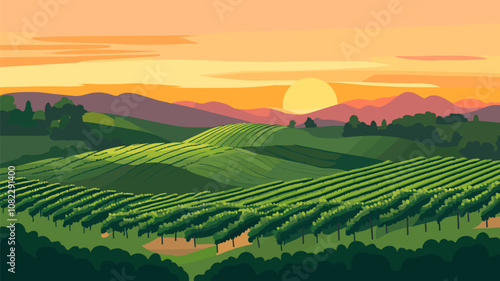 Sunset Over Vineyard Landscape