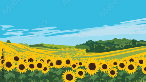 Sunflower Field on a Sunny Day