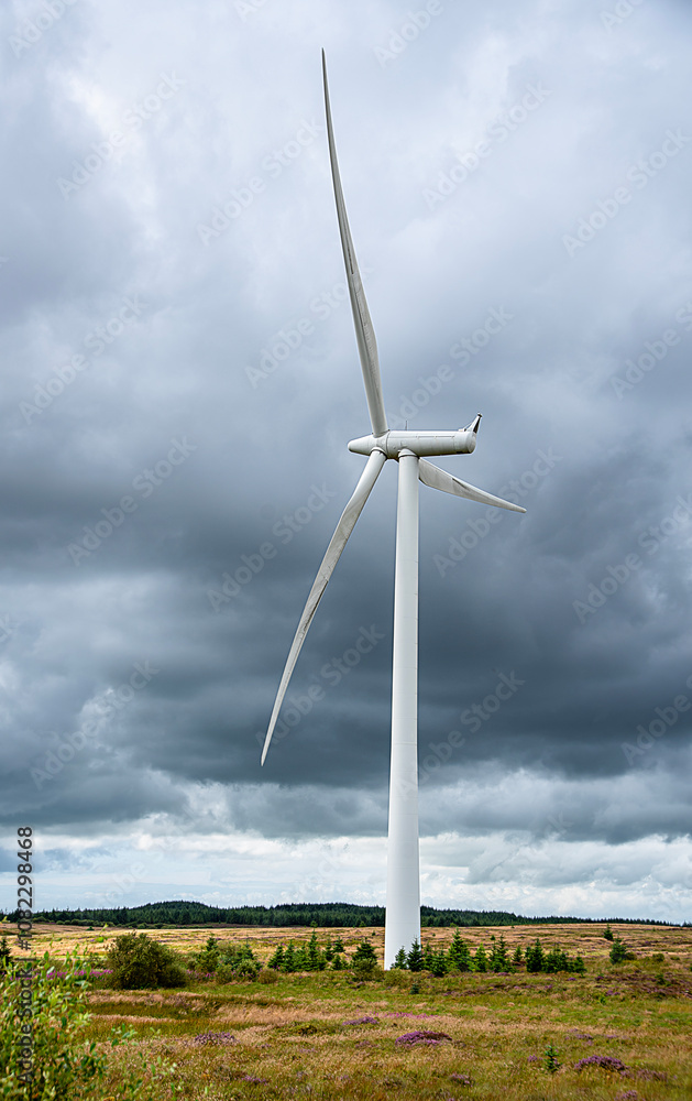 Fototapeta premium Landscape photography of wind turbine; windmill; wind power; power generation; electricity; industry; innovation; green energy; Whitelee Windfarm, Scotland