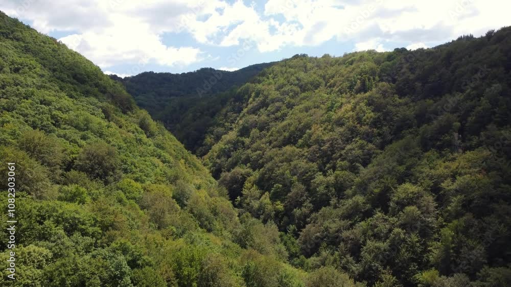 A flight above a dense forest and hills, revealing a breathtakingly lush valley under a bright blue sky. Dynamic shadows and vibrant greenery, picturesque exploration of untouched nature. A flight above a dense forest and hills, revealing a breathtakingly lush valley under a bright blue sky. Dynamic shadows and vibrant greenery, picturesque exploration of untouched nature.
