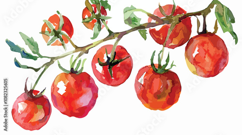 Vibrant Cherry Tomatoes Watercolor Set on White Background