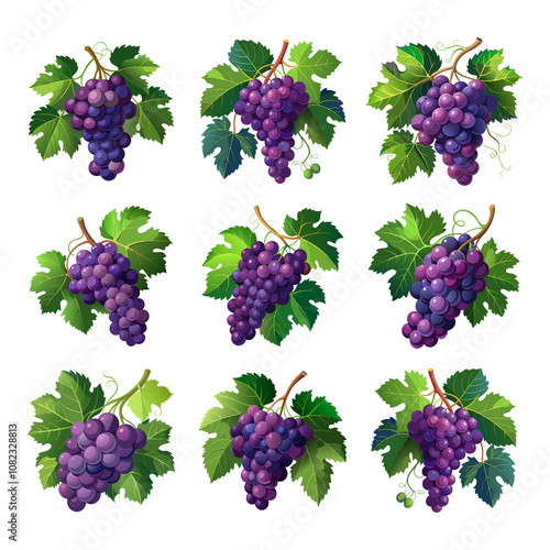 Grapes on the Vine Showcasing Lush Clusters and Green Leaves