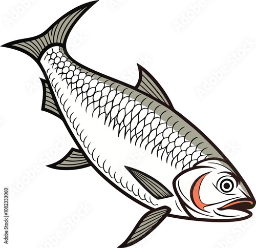 vector Drawing  of a attractive hilsa fish  