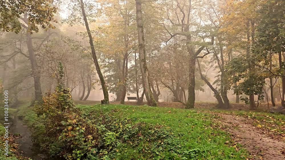 autumn park in fog, fog in the park, autumn in the forest, early morning, sad atmosphere, autumn park in fog, fog in the park, autumn in the forest, early morning, sad atmosphere,