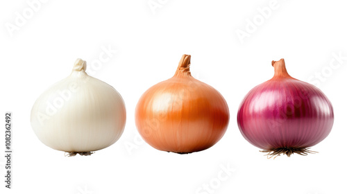 Wallpaper Mural Three types of onions are displayed against a clear background, highlighting their distinct colors and shapes. This vibrant arrangement emphasizes the freshness and diversity of onions Torontodigital.ca