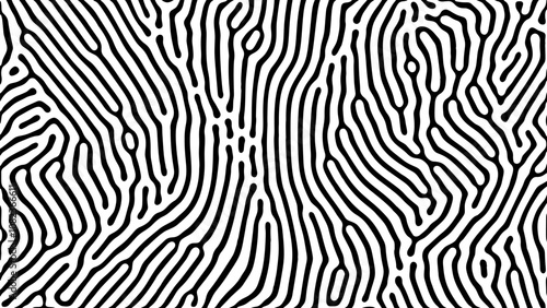 Black and white optical art with symmetrical curved lines