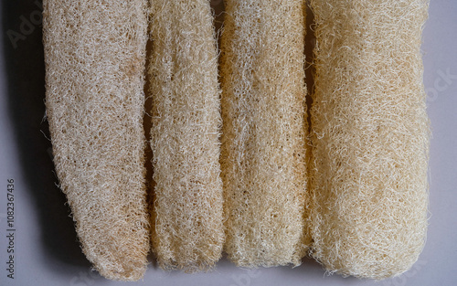 Close-up of eco friendly loofah (dried gambas) sponge. photo