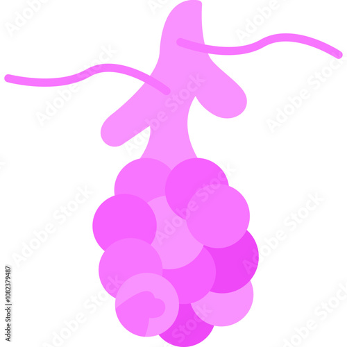 Alveoli Icon