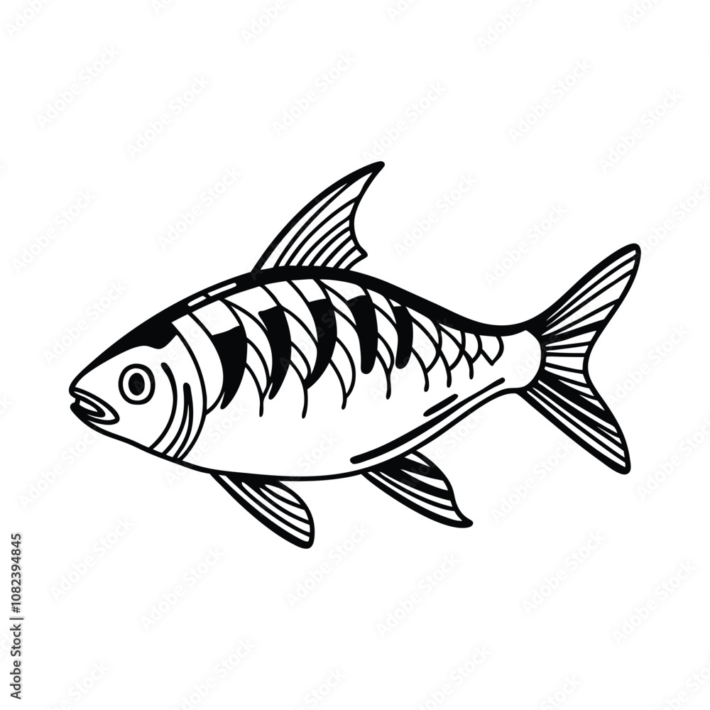 Hilsa, hilsha, ilisha design, labeled line and fill art a vector silhouette illustration. Hilsa, hilsha, ilisha design, labeled line and fill art a vector silhouette illustration.