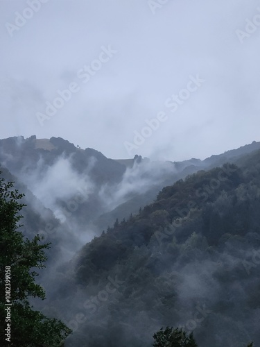 Carpathian Mountains