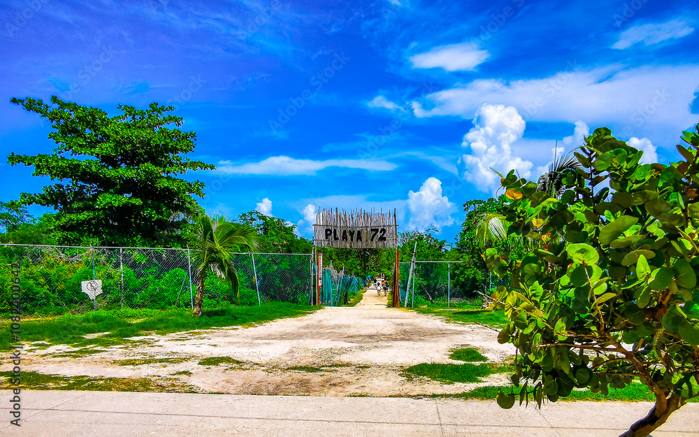 Fototapeta premium Natural tropical mexican caribbean beach entrance Playa del Carmen Mexico.