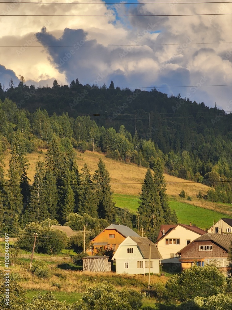 Obraz premium Carpathian Mountains