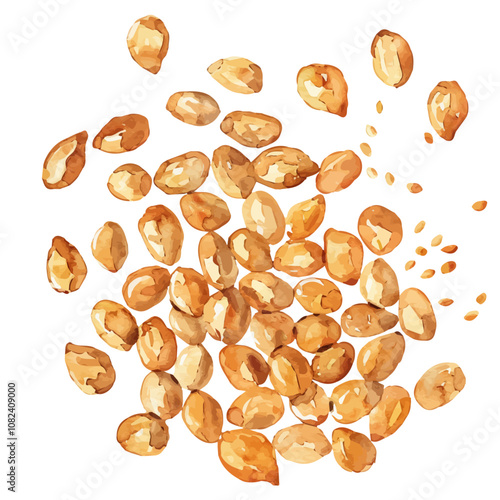 A watercolor of a set of sesame seeds, isolated on a white background. Sesame seeds vector.