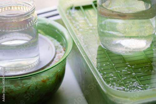 Pickling sauerkraut in plastic containers on the windowsill, glass jars with water, close-up. The concept of food from fermented canned vegetables photo