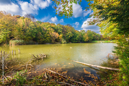 Autumn colorful foliage over lake with beautiful woods in red and yellow color. Bakony Forest and Mountain, Pisztrangos Lake, Hungary photo