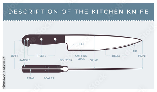 Vector description of a kitchen knife. Isolated on white background.