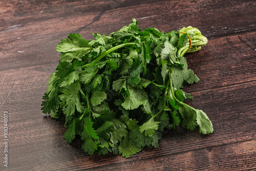 Fresh green cilantro branches heap