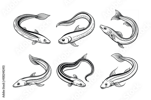 eel fish logo vector design, labeled line art and linocut silhouette illustration.