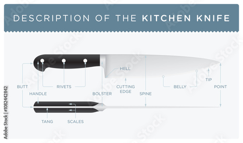 Vector description of a kitchen knife. Realistic. Isolated on white background.